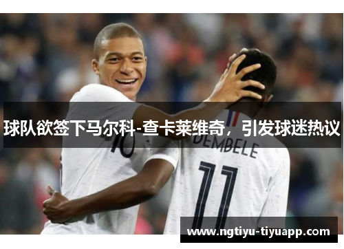 球队欲签下马尔科-查卡莱维奇，引发球迷热议