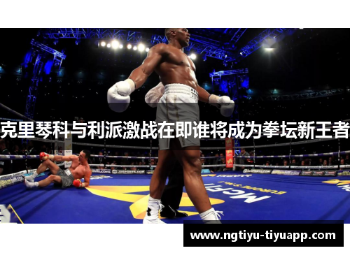 克里琴科与利派激战在即谁将成为拳坛新王者